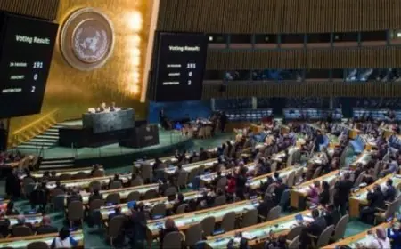 الأمم المتحدة تعبر عن فرحتها بإطلاق سراح المحتجزين الفلسطينيين والرهائن الإسرائيليين