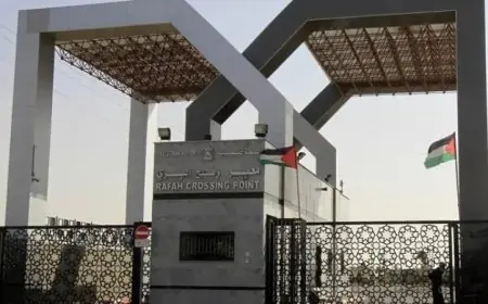 الأمم المتحدة والصليب الأحمر يدعوان لفتح كافة المعابر لإيصال المساعدات الإنسانية إلى غزة