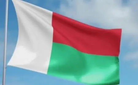 مدغشقر تشهد مرسوماً رئاسياً بحل الجمعية الوطنية قبل التصويت على تنحي الرئيس عن منصبه