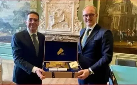 الرئيس السيسي يوجه دعوة للملك الهولندي لحضور افتتاح المتحف المصري الكبير