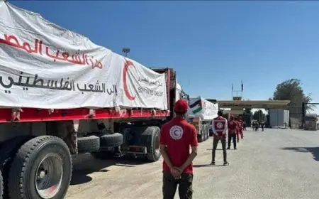 قافلة مساعدات جديدة من زاد العزة تصل إلى منفذي كرم أبو سالم والعوجة رقم 50