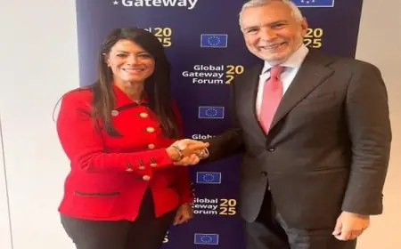 المشاط تؤكد أن آلية ضمانات الاستثمار تعزز السردية الوطنية للتنمية الاقتصادية لجذب الاستثمارات الأجنبية