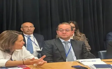 وزير المالية يكشف عن فائض أولي يتجاوز التوقعات في الربع الأول ونمو كبير في الإيرادات الضريبية