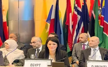 المشاط تؤكد أهمية دور مجموعة البنك الدولي وصندوق النقد الدولي في تعزيز دعم الدول العربية