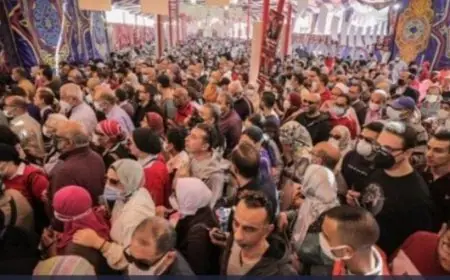 إدارة الأهلي تتخذ قراراً حاسماً لنقل الأعضاء للمشاركة في انتخابات 31 أكتوبر