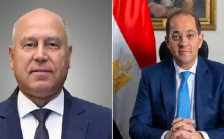 وزير المالية ووزير الصناعة يؤكدان استمرار دعم الأنشطة الإنتاجية في الزراعة والصناعة والطاقة المتجددة