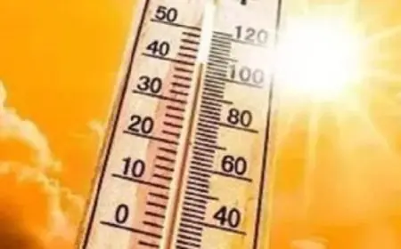 مشروبات مدهشة تعزز الذاكرة تعرف على أبرزها الشاي الأخضر