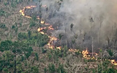 أفضل 10 أطعمة صحية تزيد سكر الدم وتحافظ على طاقتك