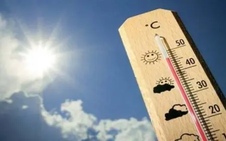 طقس اليوم في القاهرة: انخفاض درجات الحرارة ليلا مع نشاط للرياح والعظمى تصل إلى 28 درجة