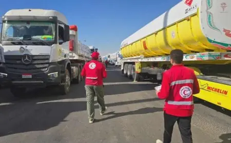 29 قافلة مساعدات إنسانية وغاز وسولار تصل قطاع غزة عبر معبر كرم أبو سالم والعوجة