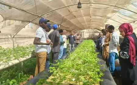 وفد أفريقي يستكشف أحدث تقنيات الاستزراع السمكي خلال زيارته للقناطر التعليمية
