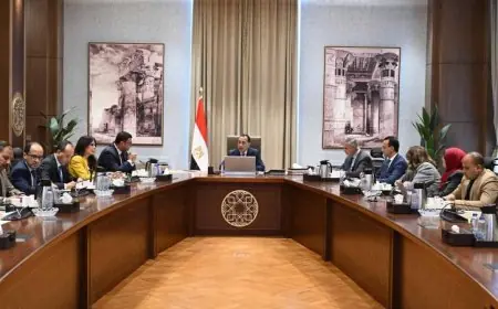 رئيس الوزراء يراقب وضع العقارات المهددة بالانهيار في الإسكندرية