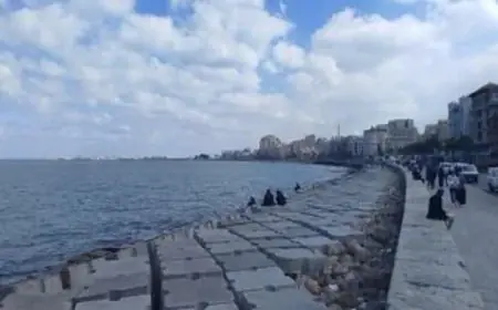 الأرصاد تحذر من طقس حار غداً نهاراً مع انخفاض درجات الحرارة ليلاً والعظمى في القاهرة تصل إلى 29 درجة