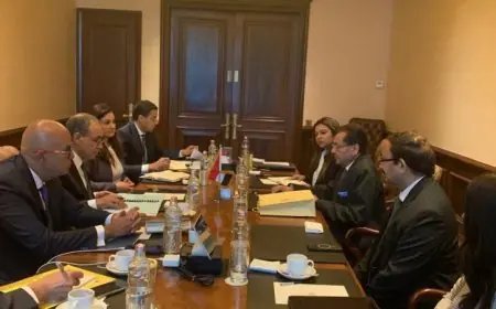 وزير الخارجية يؤكد اهتمام مصر بتعزيز التعاون مع الشركات الأجنبية لاستقطاب استثمارات جديدة