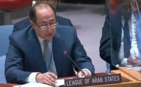 حسام زكي يؤكد أن مؤتمر شرم الشيخ أسدل الستار على حرب الإبادة الإسرائيلية في غزة