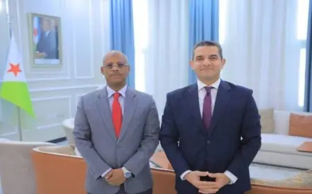 وزير صحة جيبوتي يشيد بدعم الرئيس السيسي ومصر لقطاع الصحة في البلاد