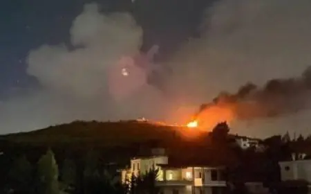 محكمة استئناف فدرالية تؤكد قرار تعليق نشر الحرس الوطني في شيكاغو