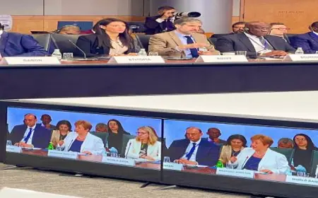 المشاط تقدم كلمة مصر في الاجتماع الوزاري لمجموعة الـ 24 المعنية بالشئون النقدية والتنمية الدولية G-24