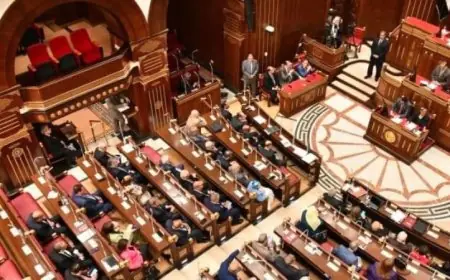 مجلس الشيوخ يبدأ اليوم الفصل التشريعي الثاني وسط توقعات مثيرة