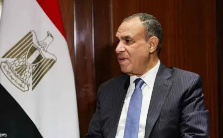 وزير الخارجية يرحب بوزير خارجية المالديف اليوم في قصر التحرير