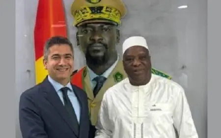 وزير الخارجية الغيني يثني على العمق التاريخي للعلاقات المصرية الغينية