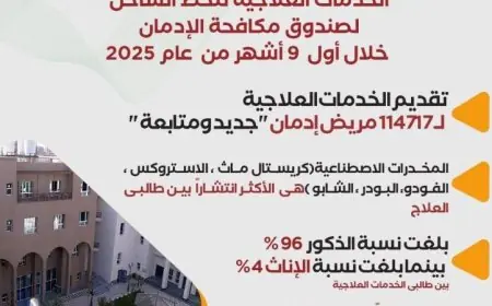 صندوق مكافحة الإدمان يكشف عن إنجازاته في تقديم الخدمات العلاجية خلال 9 أشهر