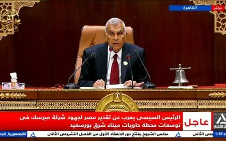 أحمد العوضي وفارس سعد يتزعمان وكالة مجلس الشيوخ للفصل التشريعي 2025 2030