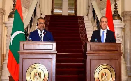 مصر تسعى بكل جهد لتنظيم مؤتمر إعادة إعمار غزة في نوفمبر المقبل