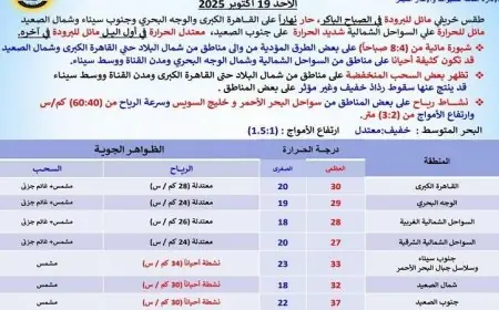 تعرف على حالة الطقس غدا في القاهرة العظمى 30 حار نهارا ومائل للبرودة ليلا