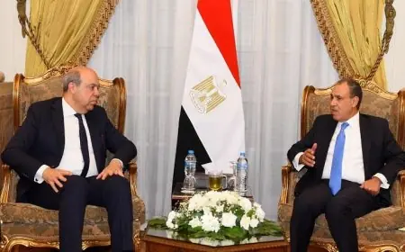 وزير الخارجية يبحث مع وزير الطيران المدني انتخاب مصر لعضوية مجلس منظمة الإيكاو