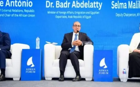 عبد العاطي يؤكد أهمية مصر في تعزيز السلم والأمن على المستوى العالمي