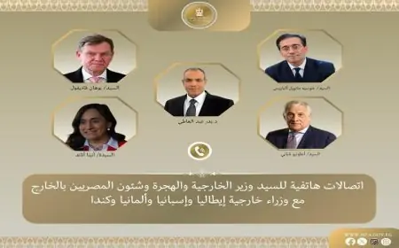 عبد العاطي يطالب ببدء تنفيذ خطط التعافي المبكر وإعادة إعمار غزة فوراً