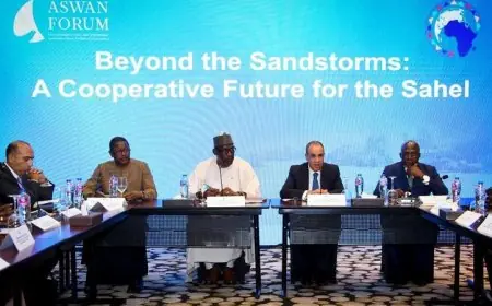 وزير الخارجية يشدد على أهمية توحيد الجهود لدعم دول الساحل في حربها ضد الإرهاب