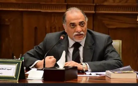 الأعلى للطرق الصوفية يقطع الشك باليقين بشأن الاحتفال بمولد السيد البدوي