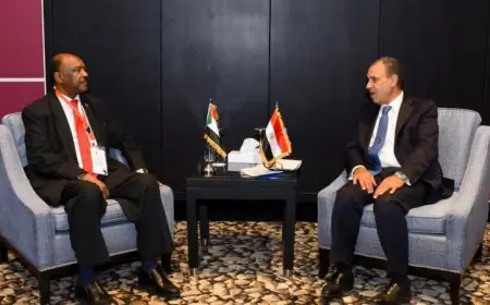 وزير الخارجية يؤكد استمرار مصر في جهودها لتحقيق الاستقرار في السودان الشقيق