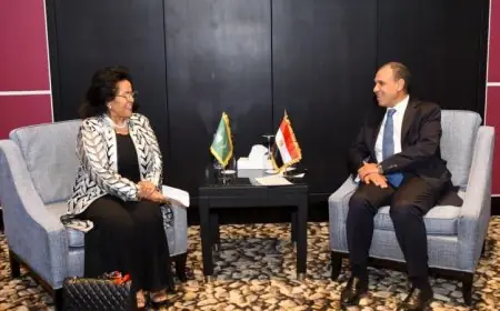 وزير الخارجية يؤكد أهمية تعزيز التعاون المثمر مع وكالة النيباد