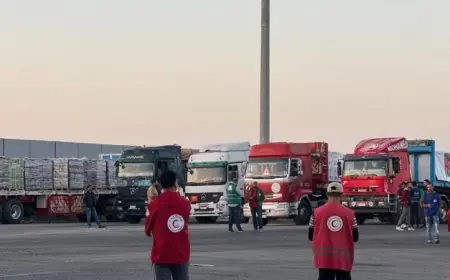 قافلة زاد العزة 54 تنطلق من مصر إلى غزة محملة بأكثر من 9 آلاف طن من المساعدات الإنسانية