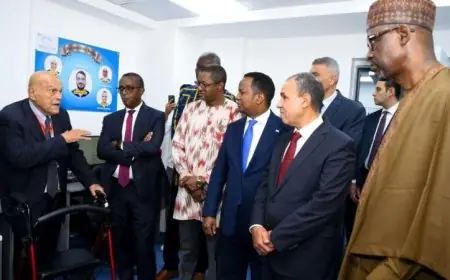 عبد العاطي ووزراء الخارجية الأفارقة يقومون بزيارة مركز مجدي يعقوب للقلب في أسوان