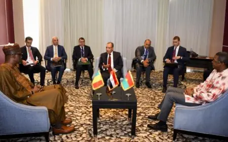 صور متعددة تعكس لقاء وزير الخارجية مع نظرائه من مالي وبوركينا فاسو لتعزيز التعاون المشترك