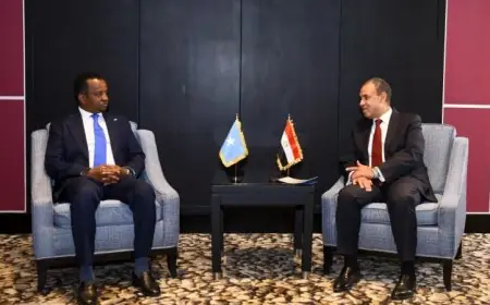 وزير الخارجية يتباحث مع نظيره الصومالي لتطوير الشراكة الاستراتيجية بين البلدين