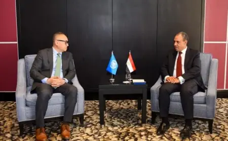 وزير الخارجية المصري يشدد على التزام مصر الثابت بدعم الاستقرار والأمن في السودان