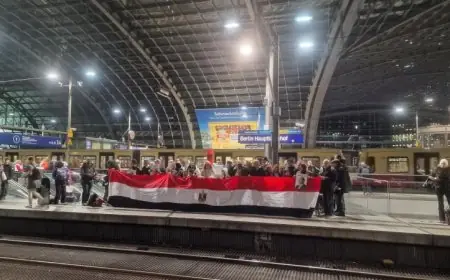 ترحيب حار من الجاليات المصرية في أوروبا بالرئيس السيسي لدى وصوله بروكسل