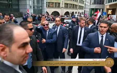 الجاليات المصرية في أوروبا تستقبل الرئيس السيسي بحفاوة عند وصوله إلى بروكسل