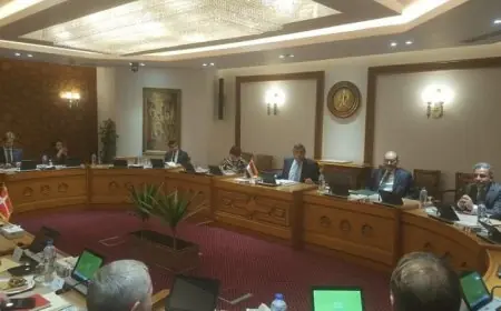 نائب وزير الخارجية يلتقي وفد لجنة العلاقات الخارجية من البرلمان الدنماركي لتعزيز التعاون الثنائي