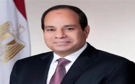 الرئيس السيسي يشدد على أهمية احترام سيادة الدول ووقف التدخلات الخارجية في شؤونها
