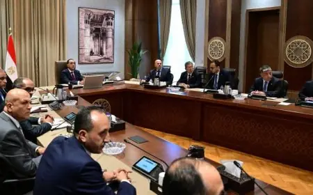 رئيس الوزراء يعقد اجتماعا هاما مع نائب رئيس مجموعة سيتك الصينية العملاقة