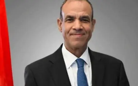 وزير الخارجية يصف القمة المصرية الأوروبية بأنها تاريخية وتأثيرها الكبير على العلاقات الدولية