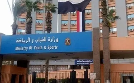 وزارة الرياضة تكشف عن خطوات رسمية جديدة لمواجهة تجنيس اللاعبين المصريين