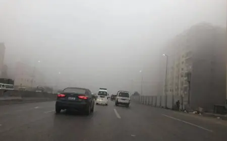 تحذيرات بشأن الشبورة الكثيفة وارتفاع طفيف في درجات الحرارة في القاهرة حيث تبلغ العظمى 34 درجة اليوم