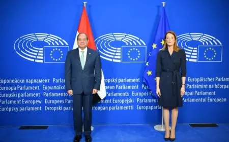 الرئيس السيسي يبرز إنجازات مصر في تعزيز الأمن والاستقرار بمنطقة الشرق الأوسط